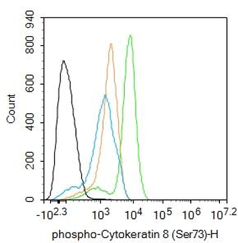 Phospho-Cytokeratin 8 (Ser73) Rabbit Polyclonal Antibody