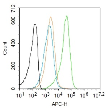 Phospho-DAB2 (Ser24) Rabbit Polyclonal Antibody