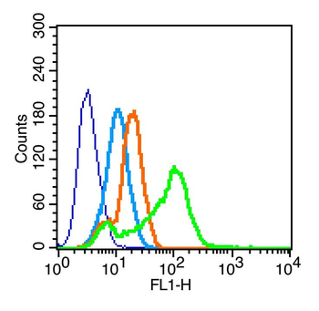 DC-SIGN Rabbit Polyclonal Antibody