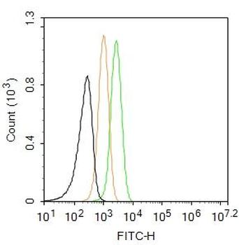 Growth hormone receptor Rabbit Polyclonal Antibody (FITC)