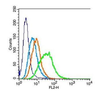 Fragilis Rabbit Polyclonal Antibody