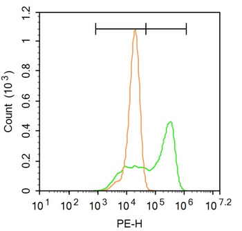 NR1H4 Rabbit Polyclonal Antibody