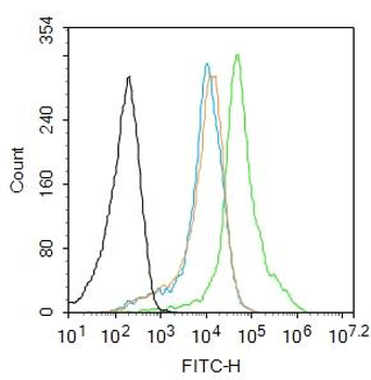 HAPLN3 Rabbit Polyclonal Antibody