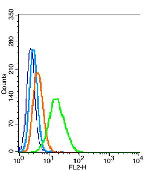 HDPTP Rabbit Polyclonal Antibody
