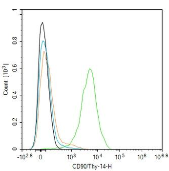 CD90/Thy-1 Mouse Monoclonal Antibody