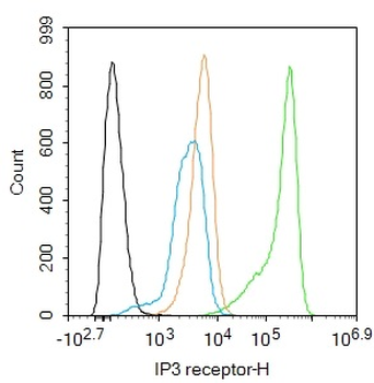 IP3 receptor Rabbit Polyclonal Antibody