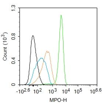 MPO Rabbit Polyclonal Antibody