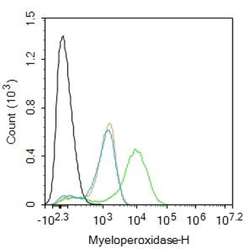 MPO Rabbit Polyclonal Antibody