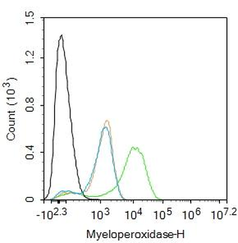 MPO Rabbit Polyclonal Antibody