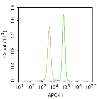 RNA polymerase II CTD repeat YSPTSPS (phospho S2) Rabbit Polyclonal Antibody (BF647)