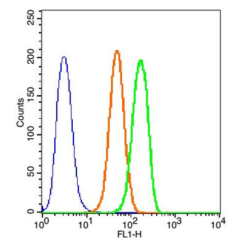 NUP107 Rabbit Polyclonal Antibody