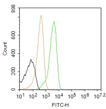 AIF1/Iba1 Rabbit Polyclonal Antibody (FITC)