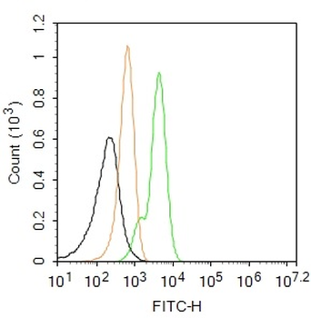 AIF1/Iba1 Rabbit Polyclonal Antibody (FITC)