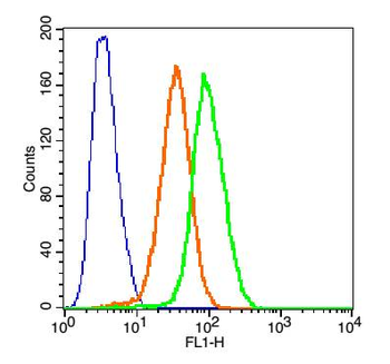 CDKN1A/P21 Rabbit Polyclonal Antibody