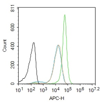 PINX-1 Rabbit Polyclonal Antibody