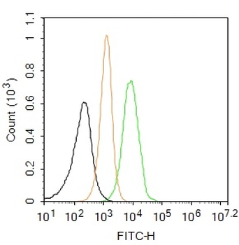 AIF1/Iba1 Rabbit Polyclonal Antibody (BF488)