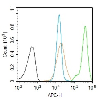 RPA70 Rabbit Polyclonal Antibody