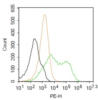 EXOC3 Rabbit Polyclonal Antibody