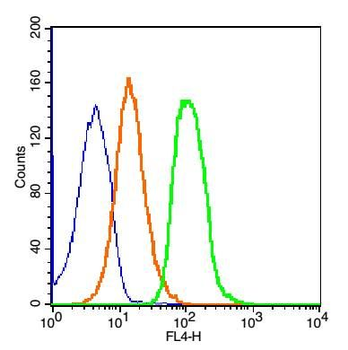 ZO-1/TJP1 Rabbit Polyclonal Antibody (BF647)