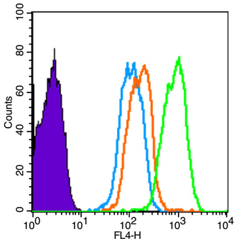 Phospho-Smad3 (Ser423) Rabbit Polyclonal Antibody