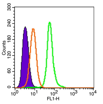 Neutrophil Elastase Rabbit Polyclonal Antibody (BF488)