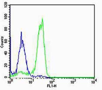 SFTPC Rabbit Polyclonal Antibody