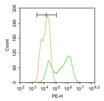 Sumo2+3 Rabbit Polyclonal Antibody