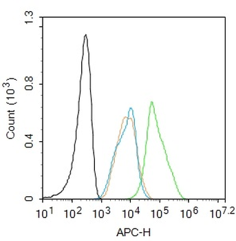 Phospho-Tau (Ser202) Rabbit Polyclonal Antibody