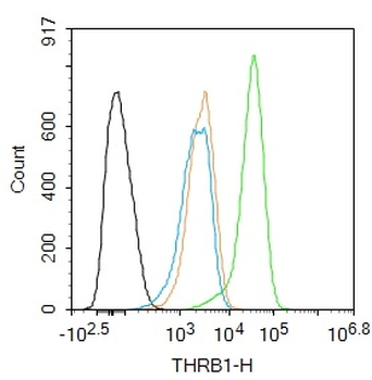 THRB1 Rabbit Polyclonal Antibody