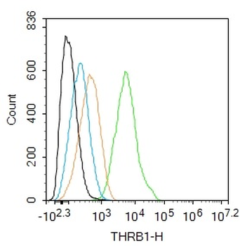 THRB1 Rabbit Polyclonal Antibody