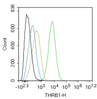 THRB1 Rabbit Polyclonal Antibody