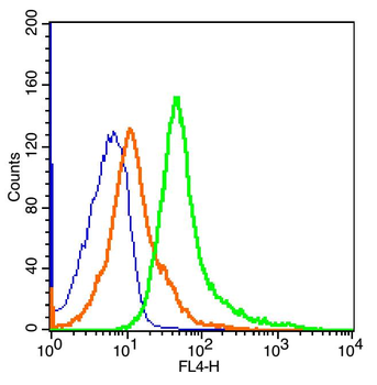 CD163 Rabbit Polyclonal Antibody (BF647)