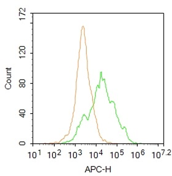 Integrin beta 1 Rabbit Polyclonal Antibody (BF647)