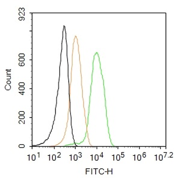 Integrin beta 1 Rabbit Polyclonal Antibody (BF488)