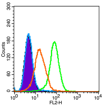 TREM1 Rabbit Polyclonal Antibody