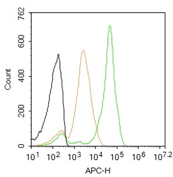 SCF Rabbit Polyclonal Antibody (BF647)