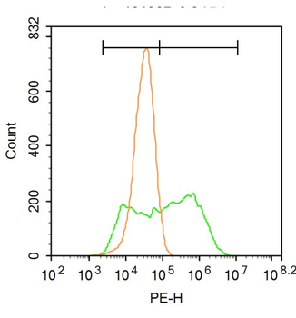 TRPC1 Rabbit Polyclonal Antibody