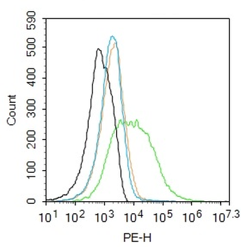 TRPV6 Rabbit Polyclonal Antibody