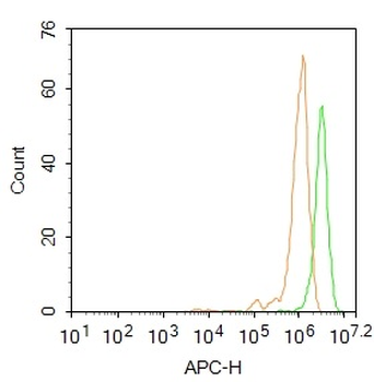 THRB1 Rabbit Polyclonal Antibody (BF647)