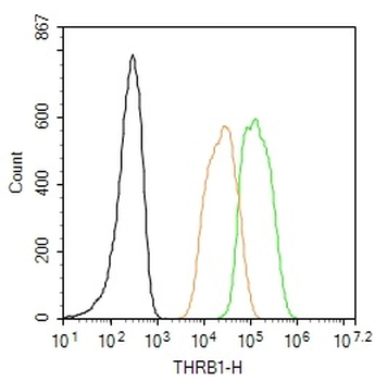 THRB1 Rabbit Polyclonal Antibody (BF647)