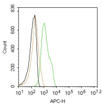 THRB1 Rabbit Polyclonal Antibody (BF647)