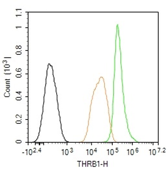 THRB1 Rabbit Polyclonal Antibody (BF647)