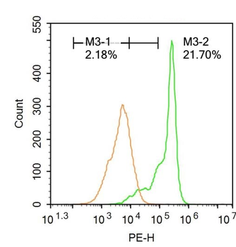 Phospho-ZAP70 (Tyr292) Rabbit Polyclonal Antibody