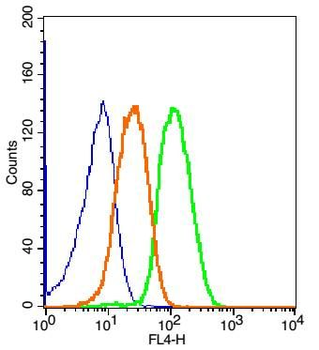 Phospho-PLCG 2 (Tyr1217) Rabbit Polyclonal Antibody (BF647)