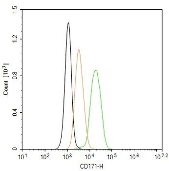 CD171/L1CAM Rabbit Polyclonal Antibody (BF488)