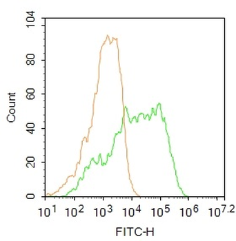 FGFR2 Rabbit Polyclonal Antibody (BF488)