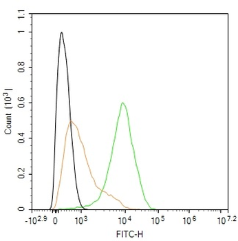 CD69 Rabbit Polyclonal Antibody (BF488)