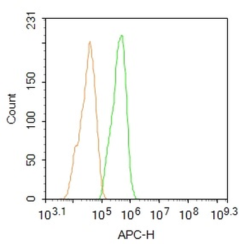 PPAR alpha Rabbit Polyclonal Antibody (BF647)