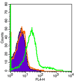 Dysferlin Rabbit Polyclonal Antibody (BF647)