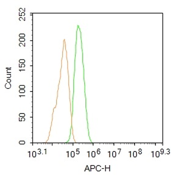 PTPN13 Rabbit Polyclonal Antibody (BF647)